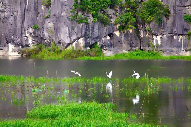 Kinh nghiệm du lịch Đầm Vân Long - "Vịnh không sóng" rộng lớn, bình yên 8 Đầm Vân Long - nét đẹp bình dị