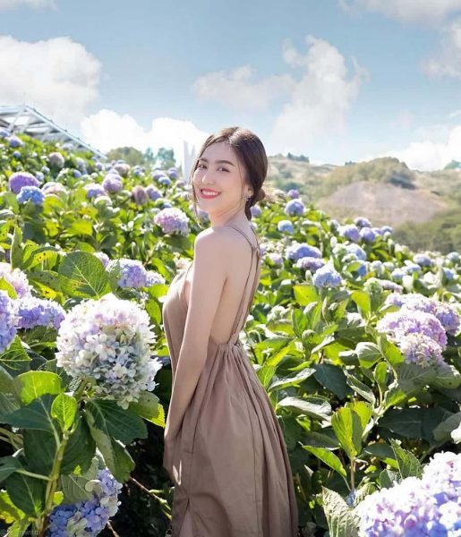 Dự báo thời tiết Đà Lạt 10 ngày tới: Nắng chiếu quanh năm, chuẩn bị đón tiết trời mát mẻ 6 Đặc sản Đà Lạt