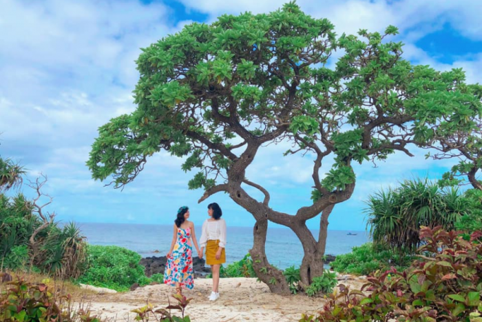 Dự báo thời tiết Lý Sơn - Dự báo thời tiết Quảng Ngãi 3 ngày tới
