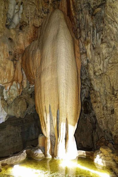Du lịch Thanh Hoá: Khám phá vẻ đẹp đặc biệt của mảnh đất miền Trung 16 Vườn quốc gia Bến En