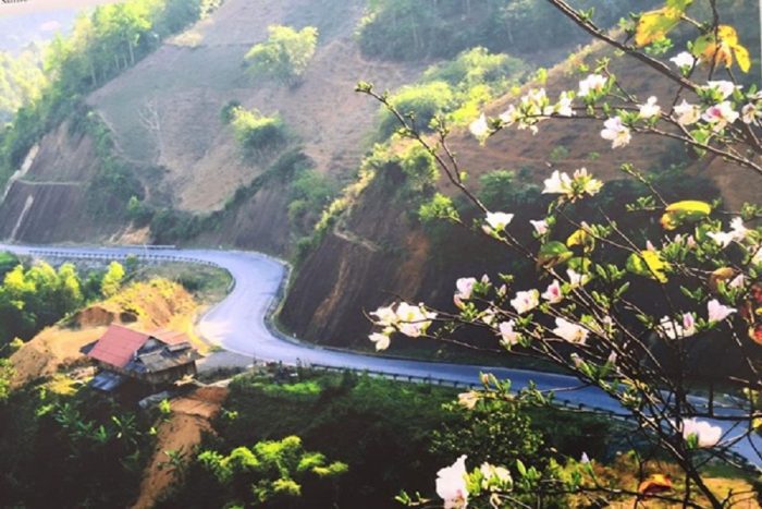 Du lịch Điện Biên - Khám phá ký ức huyền thoại 9 Tháng 3 lên Điện Biên ngắm những con đường hoa Ban thơ mộng, mơ màng