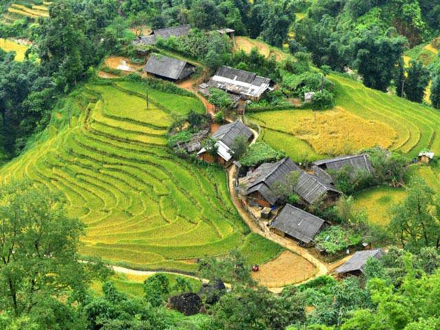 Mái nhà đơn sơ giản dị của người dân