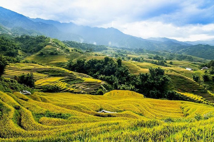 Thung Lũng mang màu vàng ươm của nắng