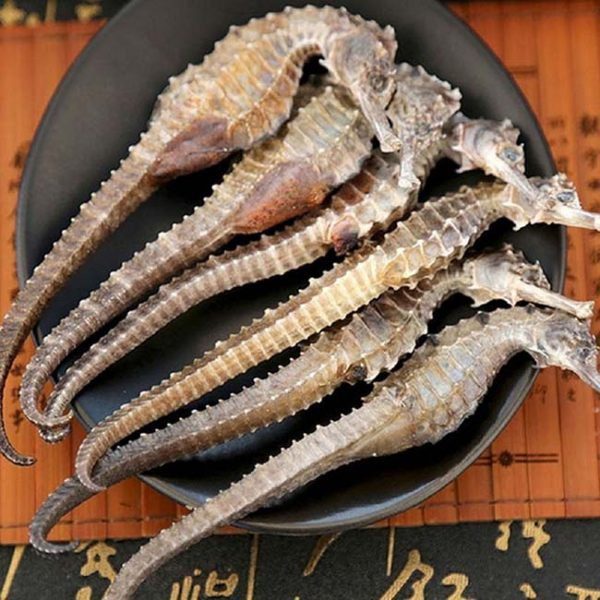 Cá ngựa khô