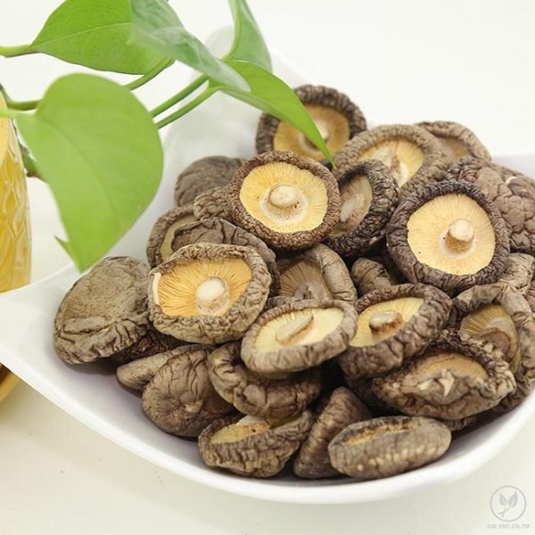 Nấm hương