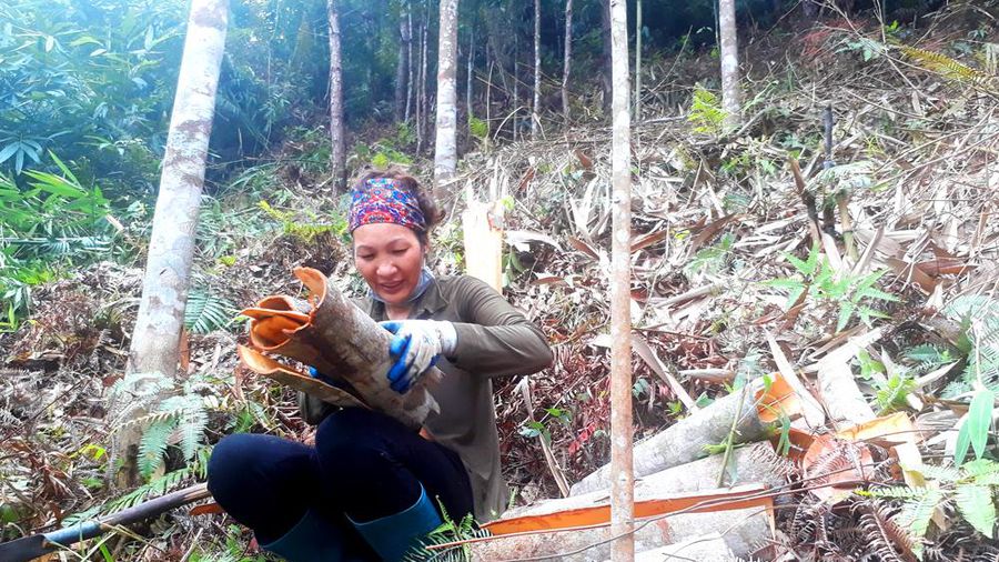 Khám phá Bình Liêu – “Sapa thu nhỏ” của Quảng Ninh 45 Đặc sản Bình Liêu làm quà