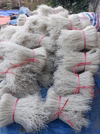Đặc sản Thanh Hóa làm quà