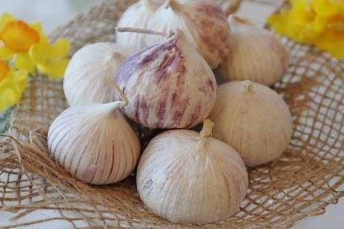 12 món ngon và đặc sản Quảng Ngãi làm quà hấp dẫn 18 Đặc sản Quảng Ngãi làm quà