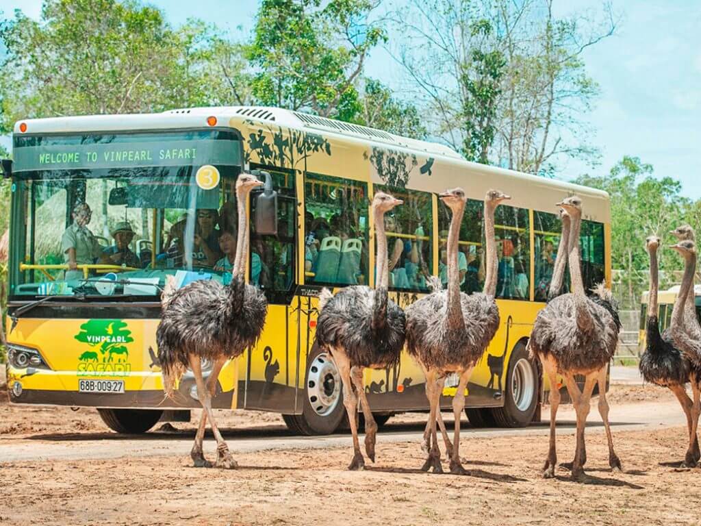 Giá vé tại Vinpearl Safari Phú Quốc