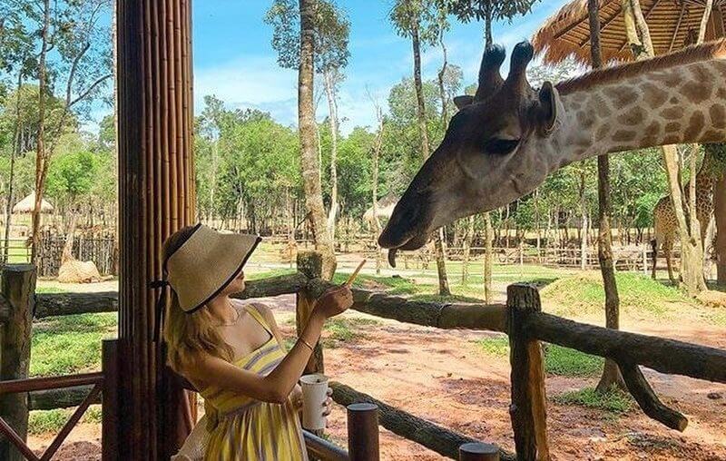 Vinpearl Safari Phú Quốc ở đâu?