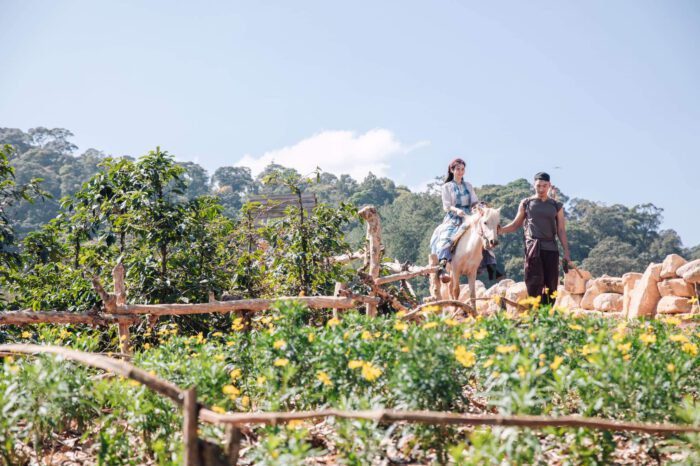 lang cu lan da lat 12