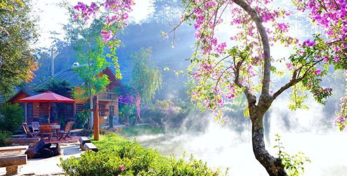 Review Ma rừng lữ quán Đà Lạt - Nơi tách biệt với thế giới bên ngoài 13 Ma Rừng Lữ Quán Đà Lạt