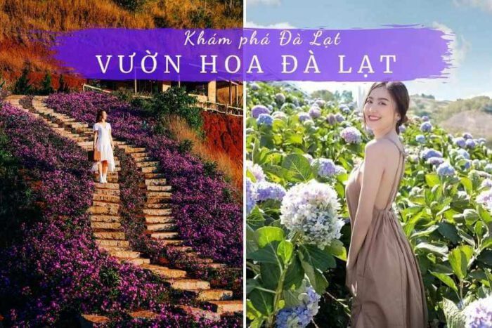 Cánh đồng hoa Đà Lạt, Vườn Hoa Đà Lạt