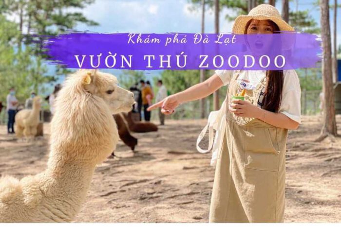 Vườn thú Zoodoo | Sở thú Zoodoo Đà Lạt