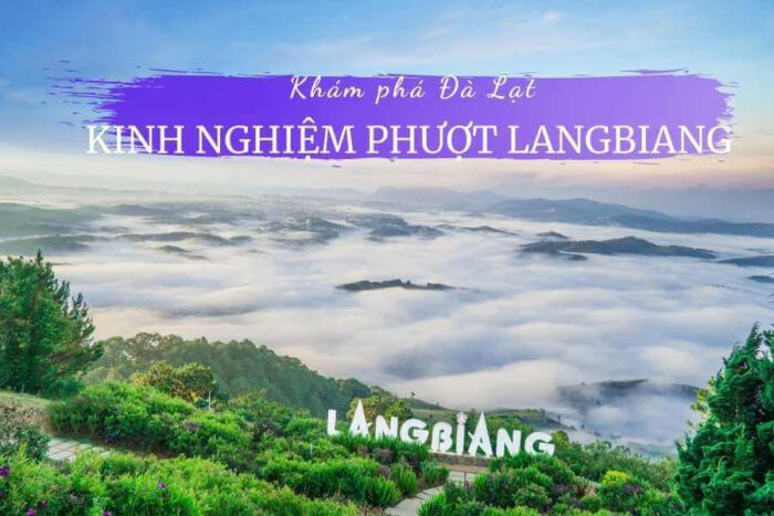 Review núi Langbiang Đà Lạt: “Nóc nhà” Tây Nguyên có gì hấp dẫn? 21 Langbiang Đà Lạt