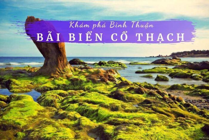 Review bãi biển Cổ Thạch Bình Thuận