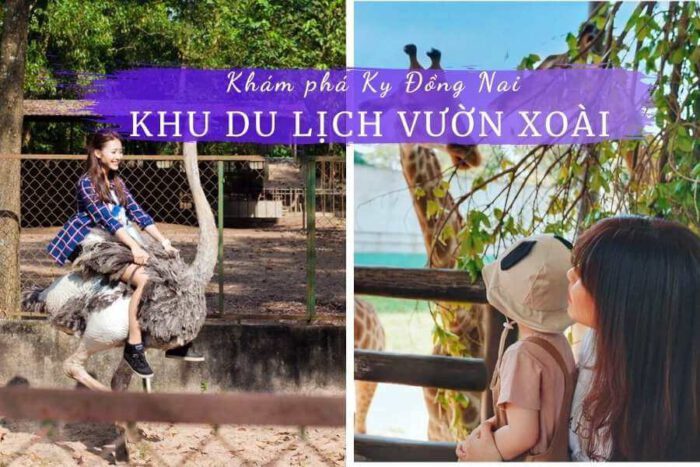Du lịch Vườn Xoài, Đồng Nai: Khám phá trò chơi và giá vé năm 2021 20 Review Khu du lịch vườn xoài Đồng Nai