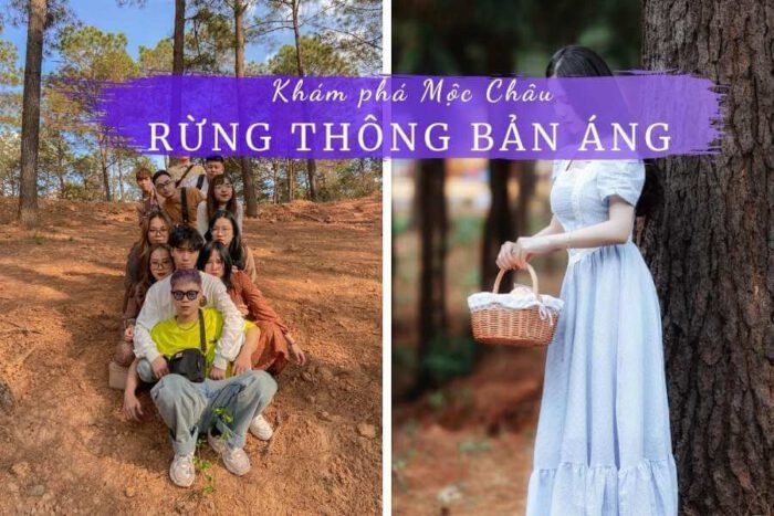 Review rừng thông Bản Áng Mộc Châu Sơn La