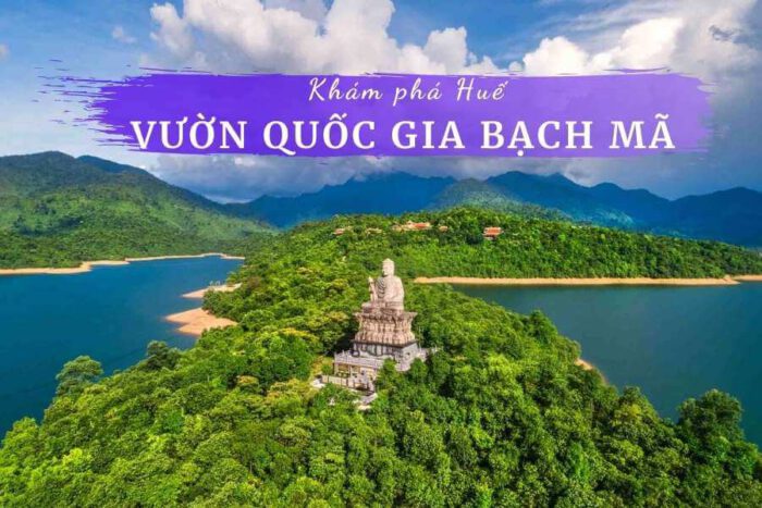 Khám phá vườn Quốc gia Bạch Mã Huế: Tận hưởng thiên nhiên tuyệt đẹp từ A đến Z 12 Review Vườn quốc gia Bạch Mã