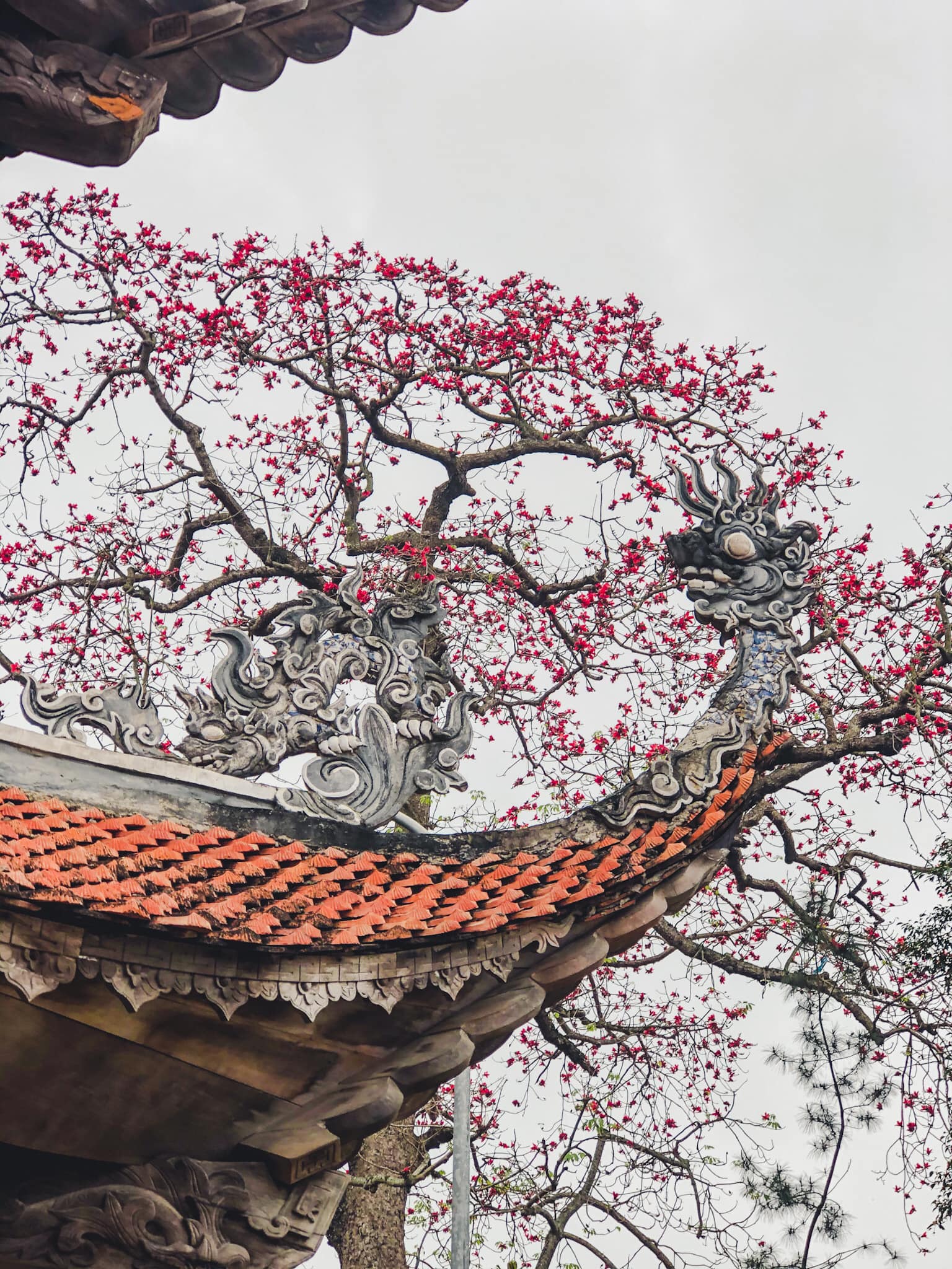 Lịch sử hình thành chùa Nôm