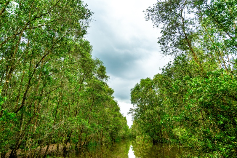 Tram Chim national park