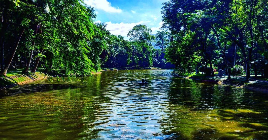 Bach Thao Park: A Tranquil Oasis in the Heart of Hanoi 7 Photo: @phu.tc
