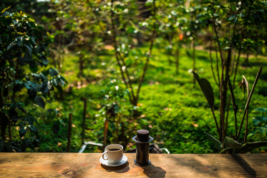A Coffee Lover's Journey in Da Lat: Exploring the K'Ho Coffee Farm 6 dalat vietnam