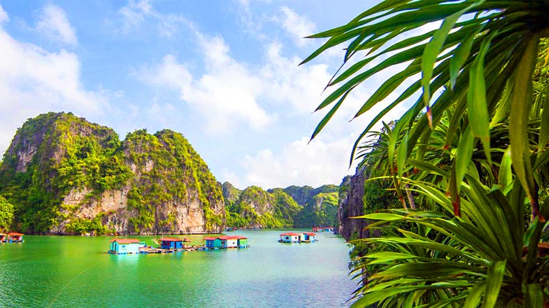 Photo: Baoquangninh.com.vn
