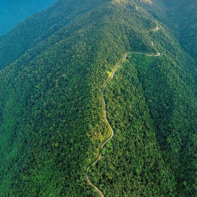 Bach Ma National Park: A Hidden Gem in Vietnam 12 Bach Ma Trail
