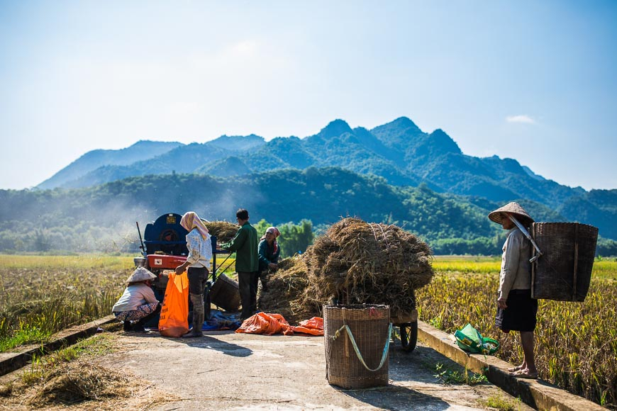 Harvest season in the hills