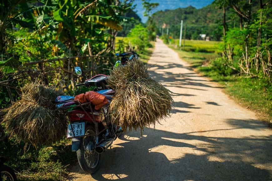 Cycling through the rice paddies