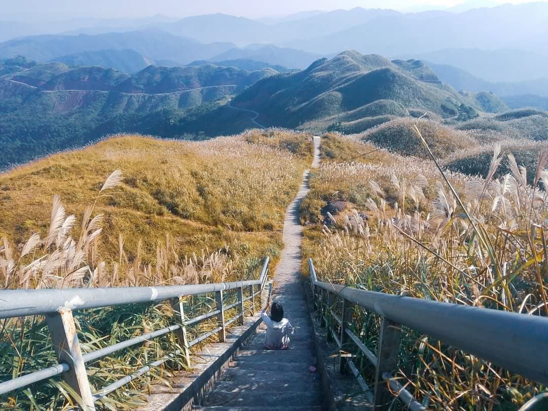 The Ultimate Travel Guide: 15 Best Destinations To Visit When Vietnam Welcomes Back Visitors 18 binh20lieu