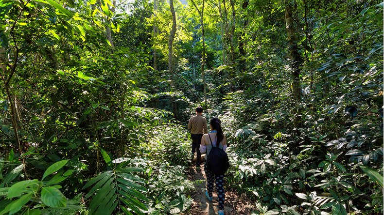 Trekking deep into Cat Ba jungle