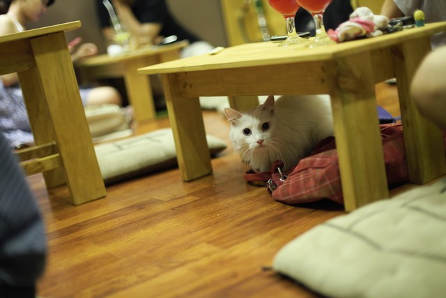 themed-cafe