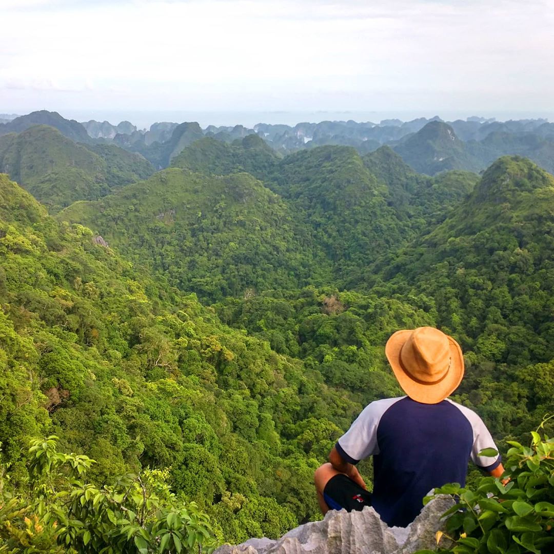 The 5 Most Famous National Parks of Vietnam 6 Cat Ba National Park - Photo: @duonghoiqua