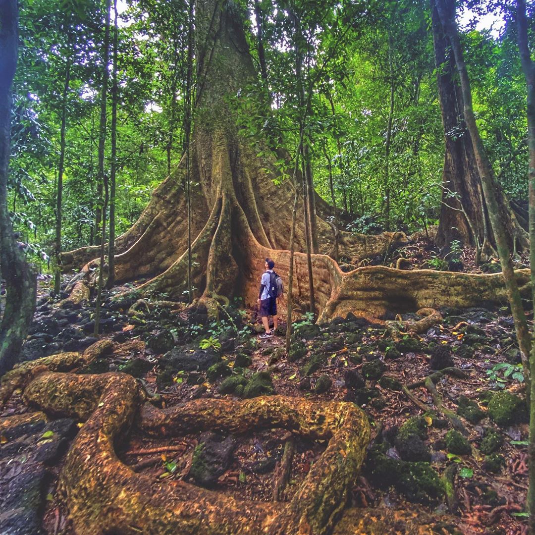 Cat Tien National Park - Photo: @ken_tv