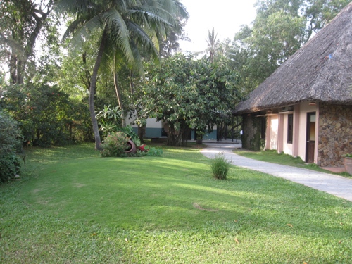 A Guide to Cong Tay Island: Your Ultimate Getaway Experience 6 Tourist Area in Cong Tay Island
