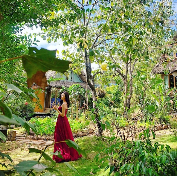 Inside Da Lat: Discover the Perfect Homestay for Your Next Adventure 11 cui-homestay