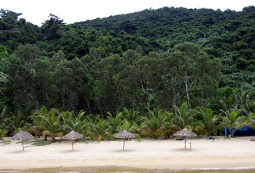A Guide to Cong Tay Island: Your Ultimate Getaway Experience 5 Cong Tay Tourist Beach
