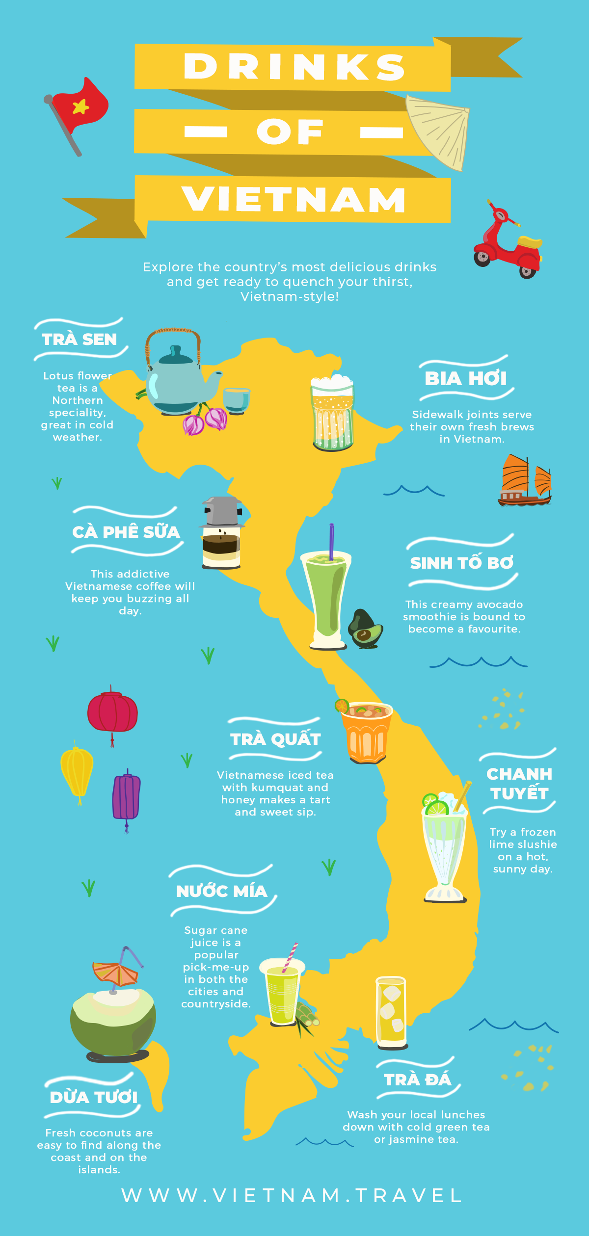 Drink Infographic