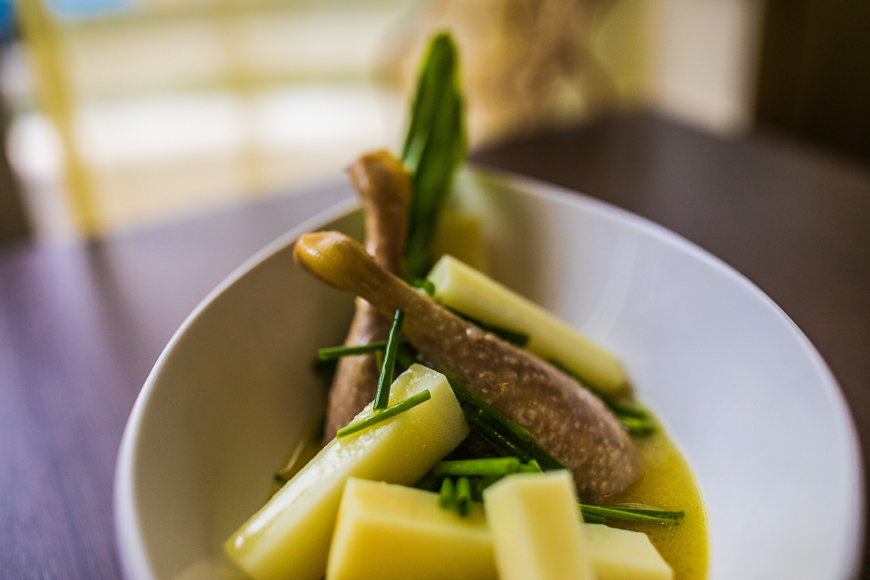 Explore the Delicacies of North Vietnam 7 Dish