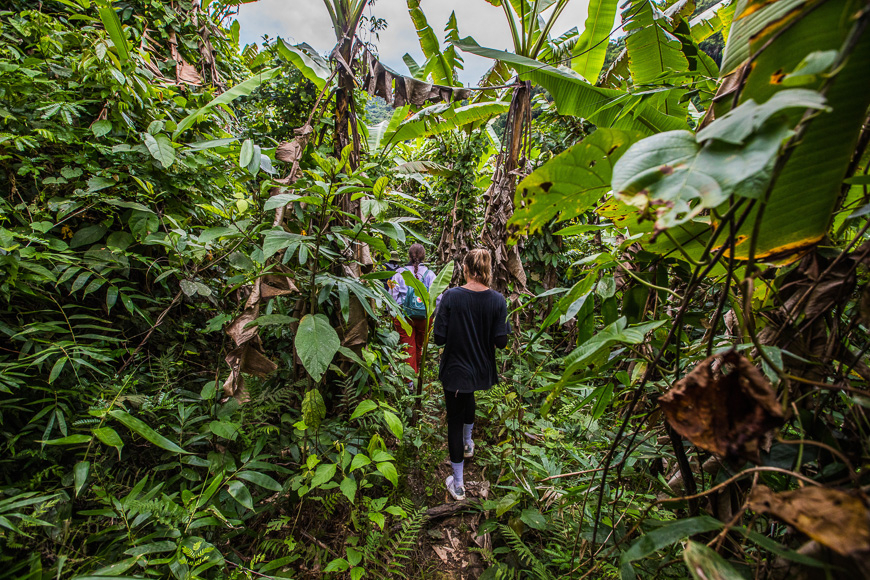 A Complete Guide to Phong Nha: Discover Vietnam's Adventure Haven 10 Hiking through the jungle is a highlight of Phong Nha.