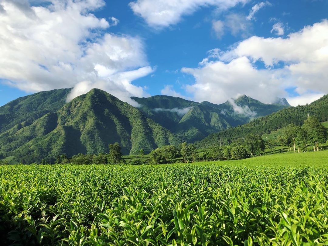 Lai Chau