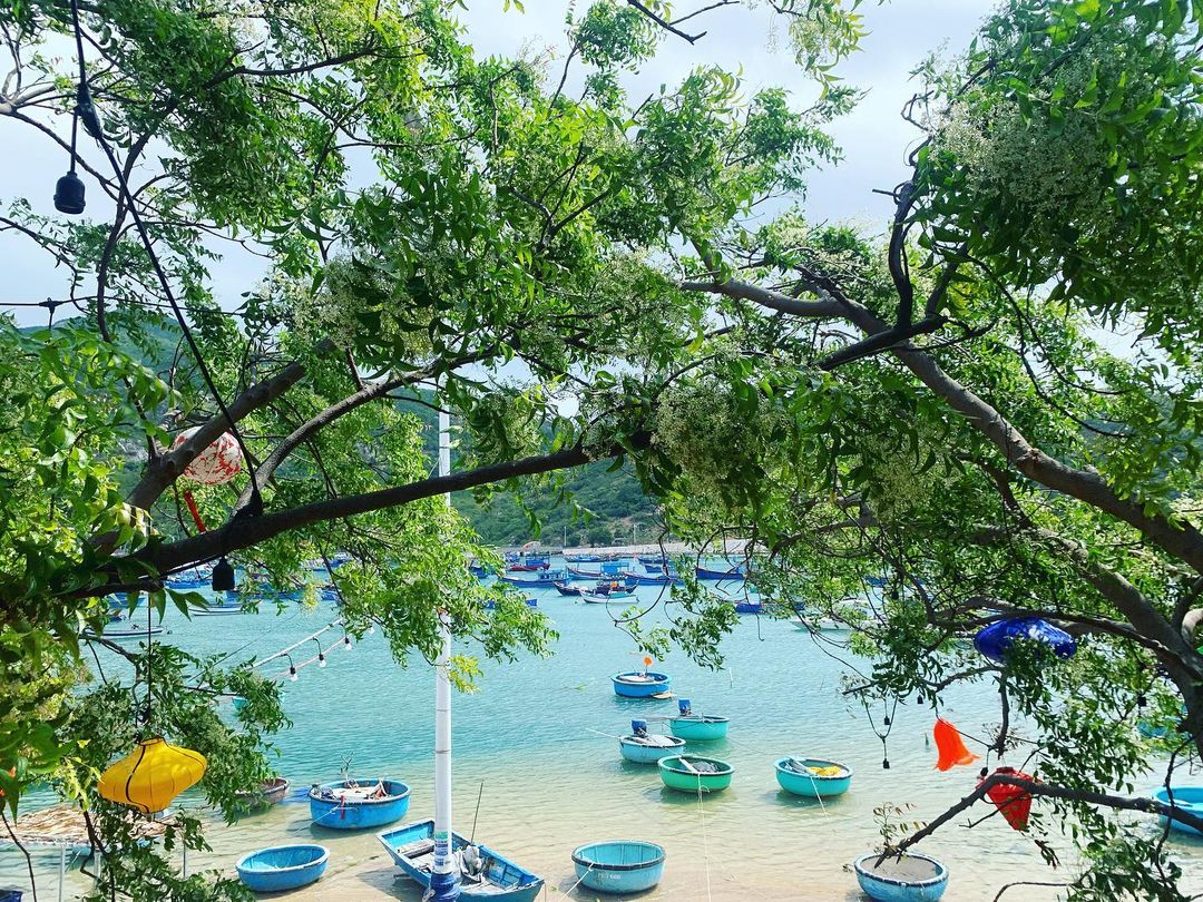 A Journey Into the Wilderness: Exploring Nui Chua National Park 14 Fish village in Vinh Hy Bay - Photo: @yumi._.hnd