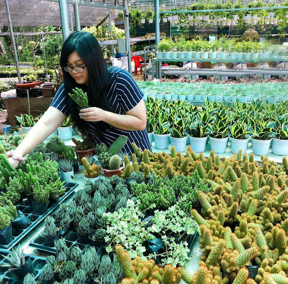 Sa Dec Flower Village