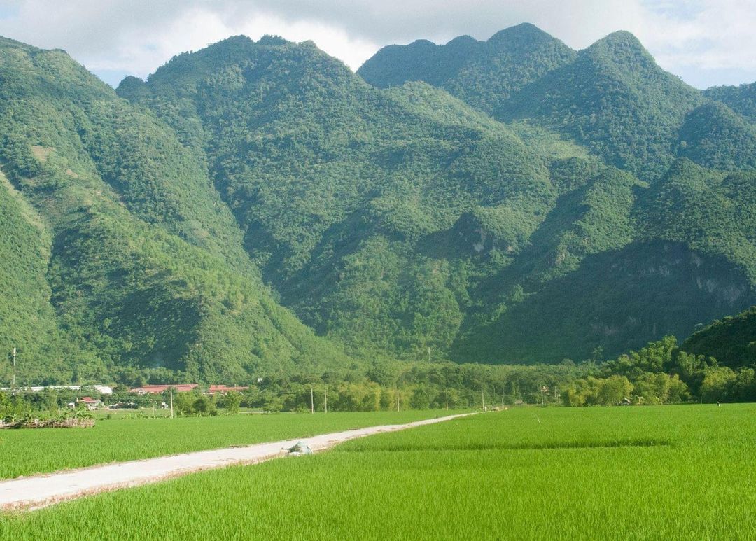 Mai Chau
