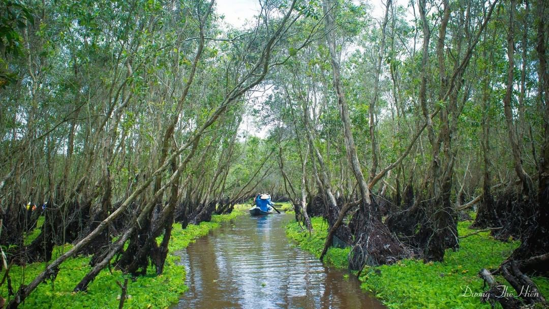 Mekong Delta