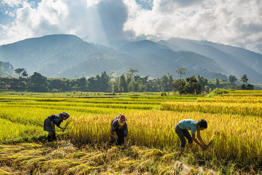 4 Things You'll Fall in Love with in Mu Cang Chai 10 Transport to Mu Cang Chai