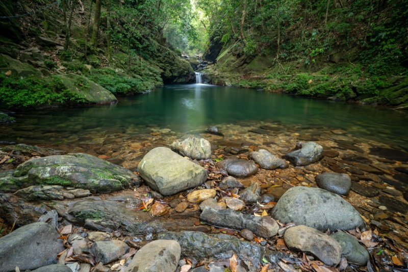 Bach Ma National Park: A Hidden Gem in Vietnam 13 A lake in Bach Ma National Park