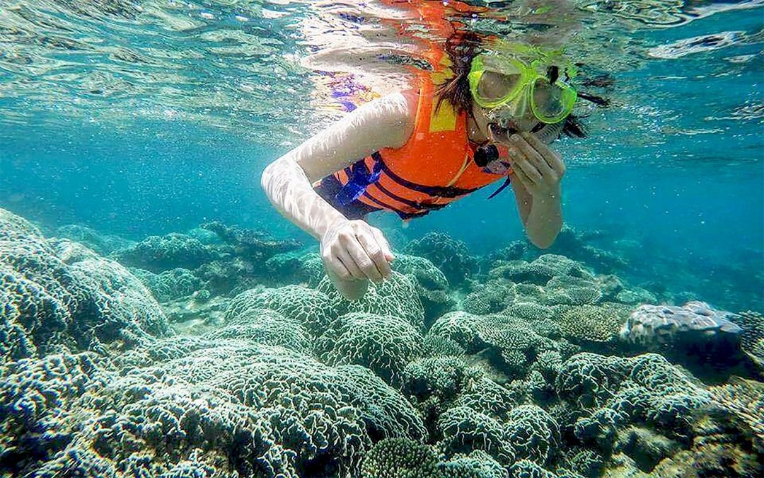 A Journey Into the Wilderness: Exploring Nui Chua National Park 13 Snorkeling in Vinh Hy Bay, Ninh Thuan - Photo: @phanrangexplorer